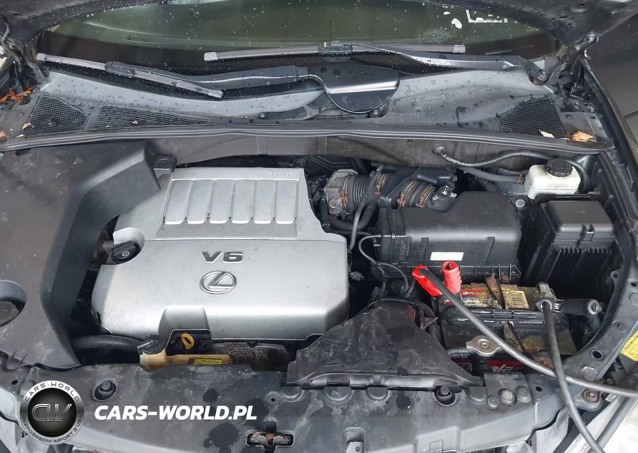 2007 Lexus Rx 350 VIN:2T2HK31U57C028338 - 10