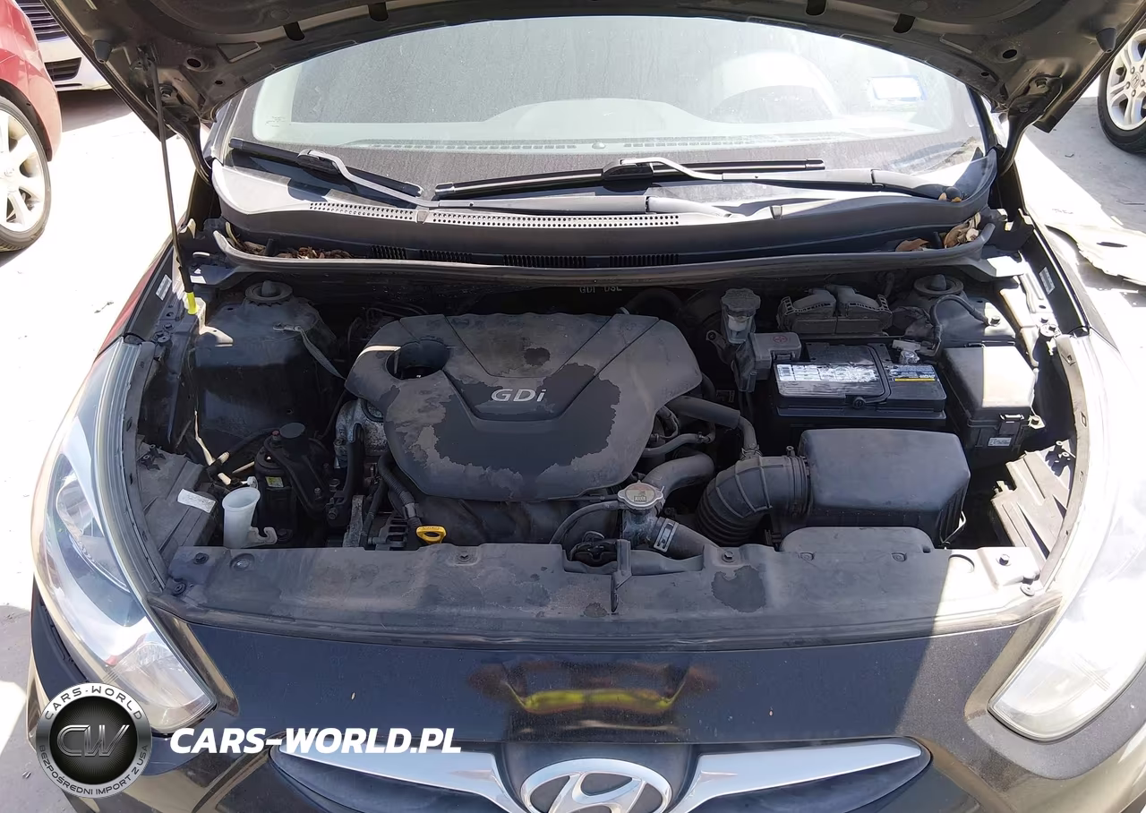 2014 Hyundai Accent Gs VIN:KMHCT5AE6EU194752 - 10