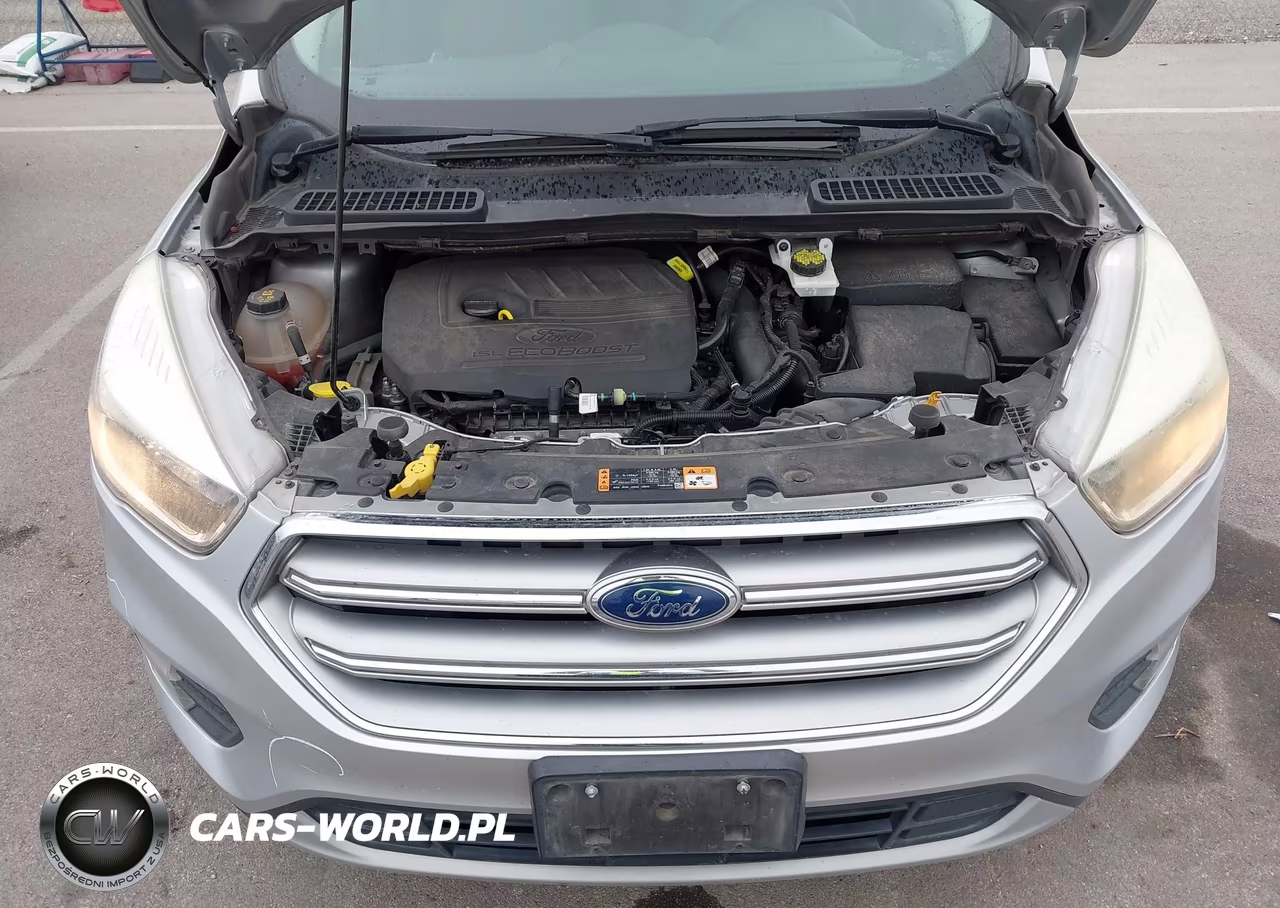 2017 Ford Escape Se VIN:1FMCU0GD8HUD12576 - 10