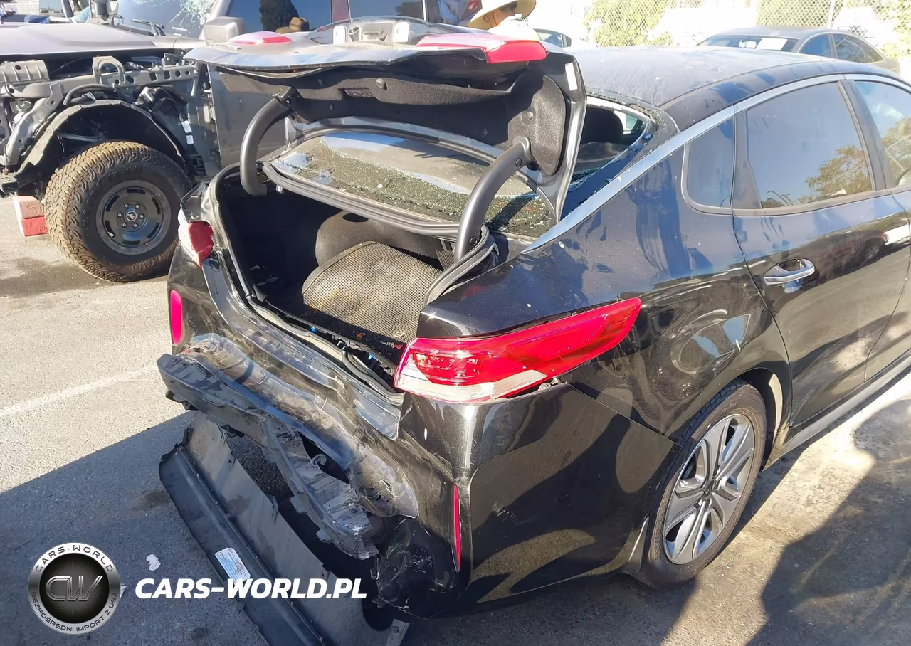 2017 Kia Optima Hybrid Ex VIN:KNAGU4LE5H5012433 - 17