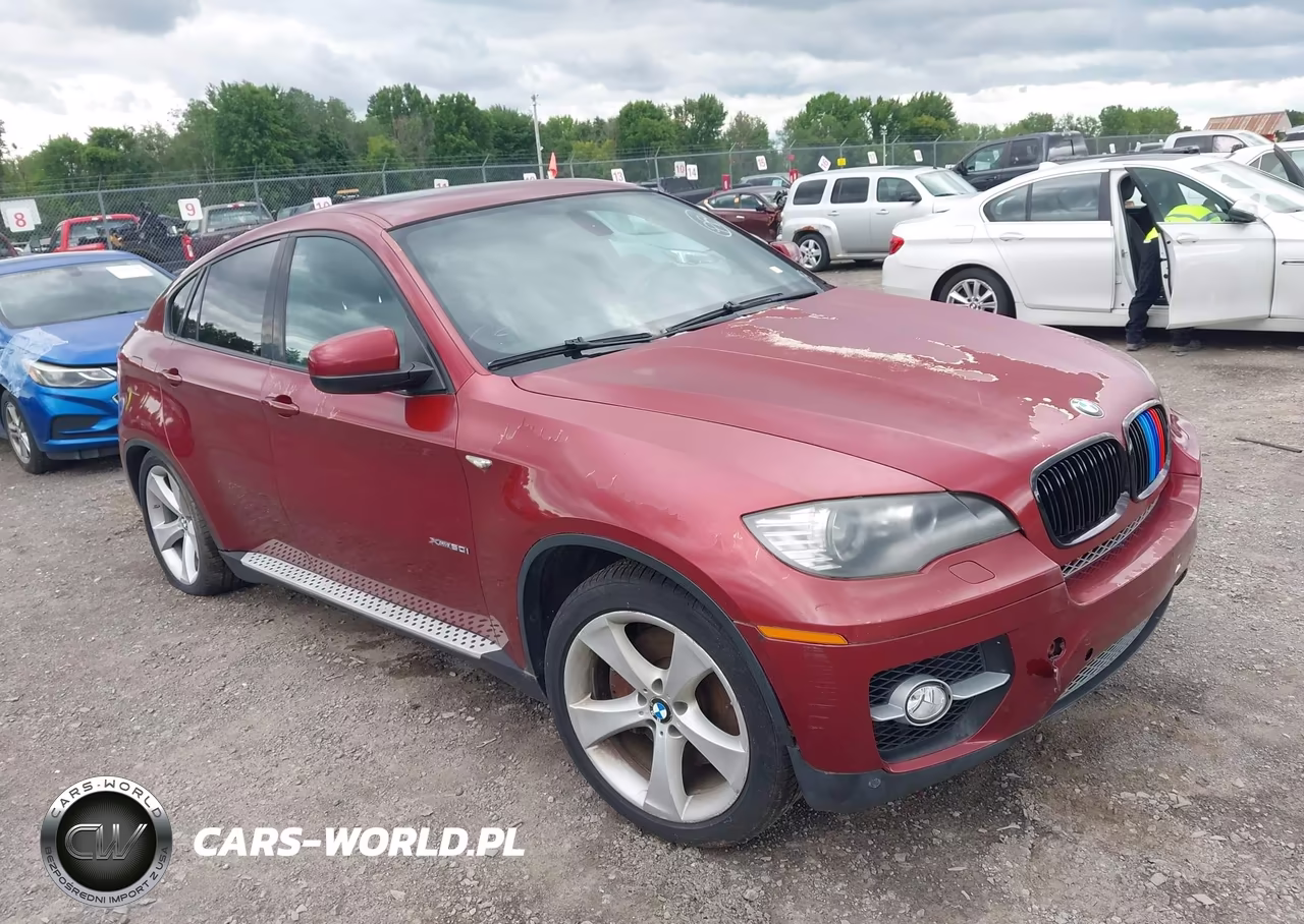 2009 BMW X6