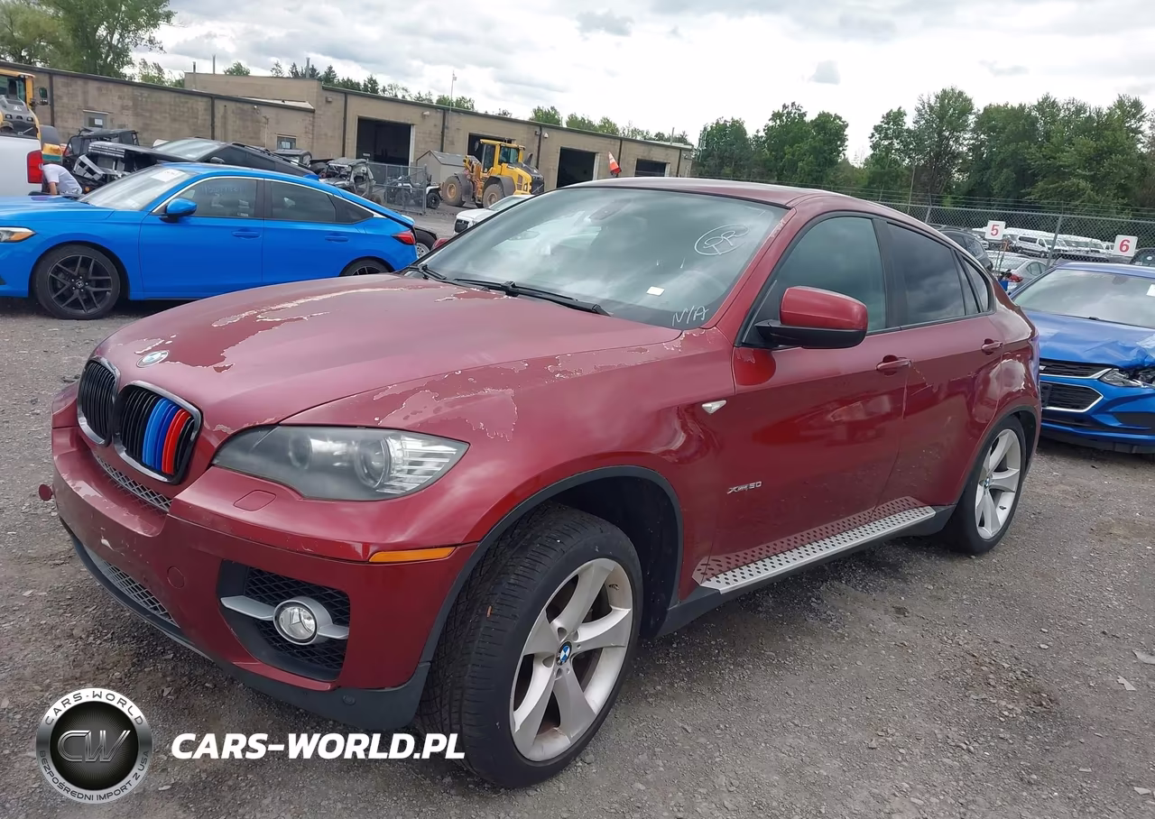 2009 BMW X6 VIN:5UXFG83539LZ94178 - 2