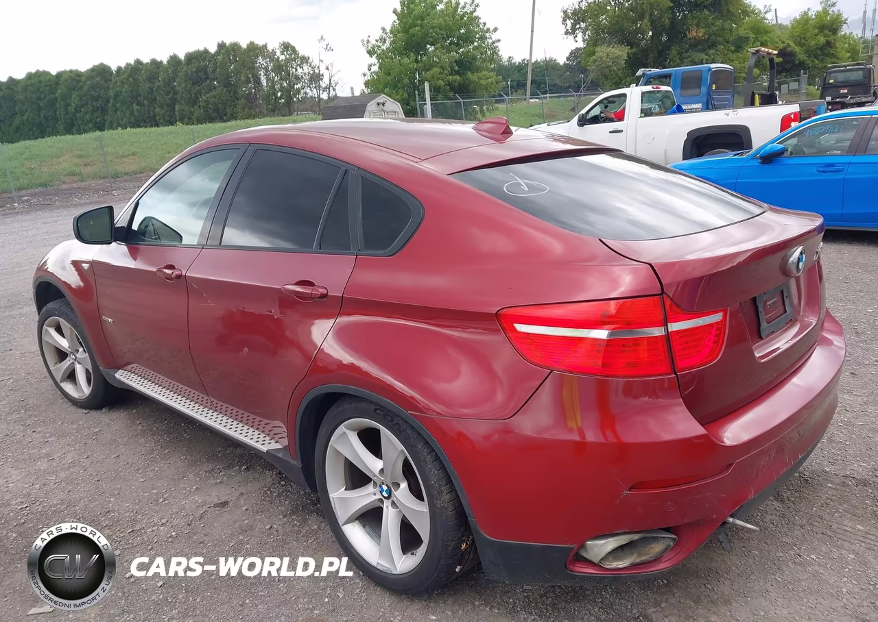 2009 BMW X6 VIN:5UXFG83539LZ94178 - 3