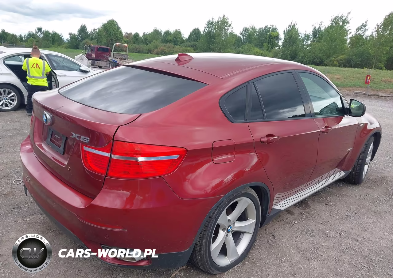2009 BMW X6 VIN:5UXFG83539LZ94178 - 4