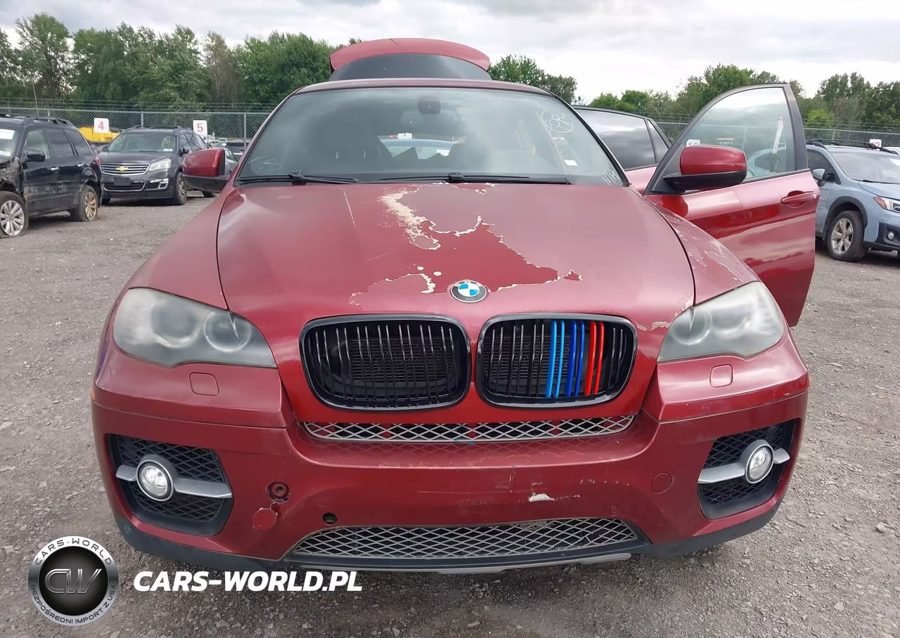 2009 BMW X6 VIN:5UXFG83539LZ94178 - 6