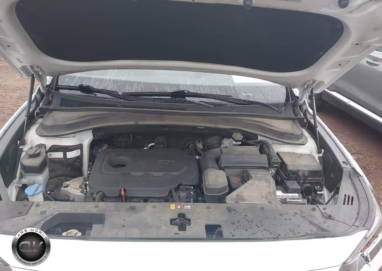 2019 Hyundai Santa Fe Sel Plus VIN:5NMS33AD4KH047750 - 10