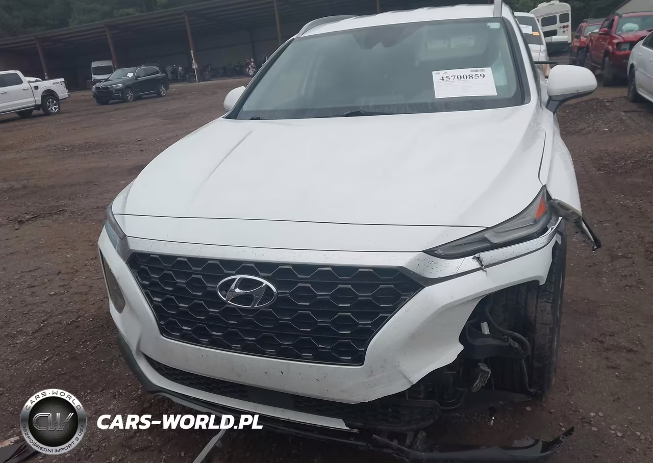 2019 Hyundai Santa Fe Sel Plus VIN:5NMS33AD4KH047750 - 12