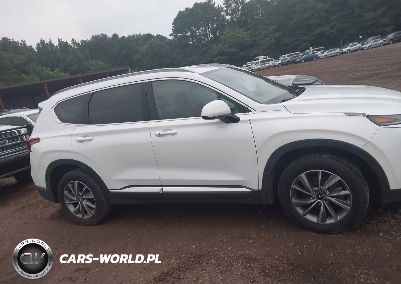 2019 Hyundai Santa Fe Sel Plus VIN:5NMS33AD4KH047750 - 13