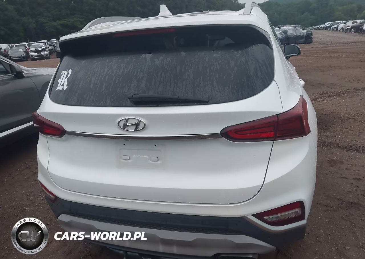 2019 Hyundai Santa Fe Sel Plus VIN:5NMS33AD4KH047750 - 16