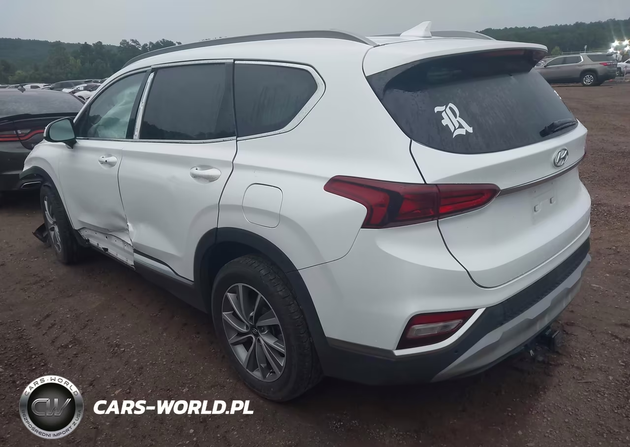 2019 Hyundai Santa Fe Sel Plus VIN:5NMS33AD4KH047750 - 3
