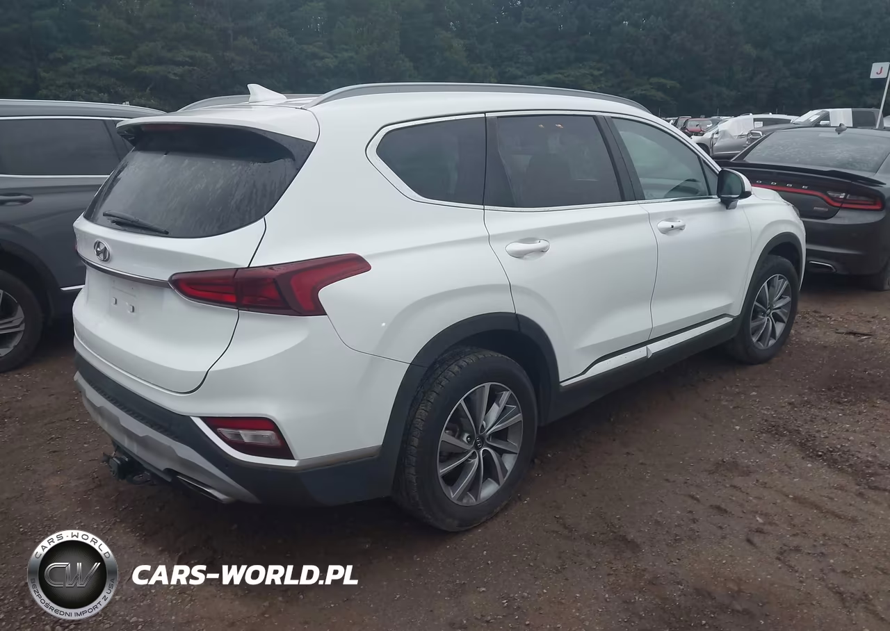 2019 Hyundai Santa Fe Sel Plus VIN:5NMS33AD4KH047750 - 4