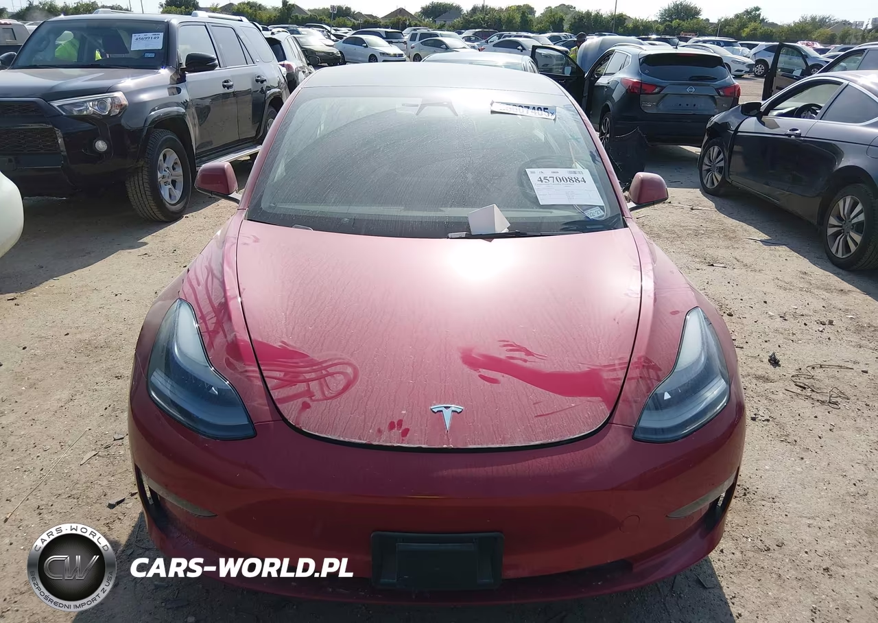2021 Tesla Model 3 Standard Range Plus Rear-Wheel Drive VIN:5YJ3E1EA2MF095402 - 11