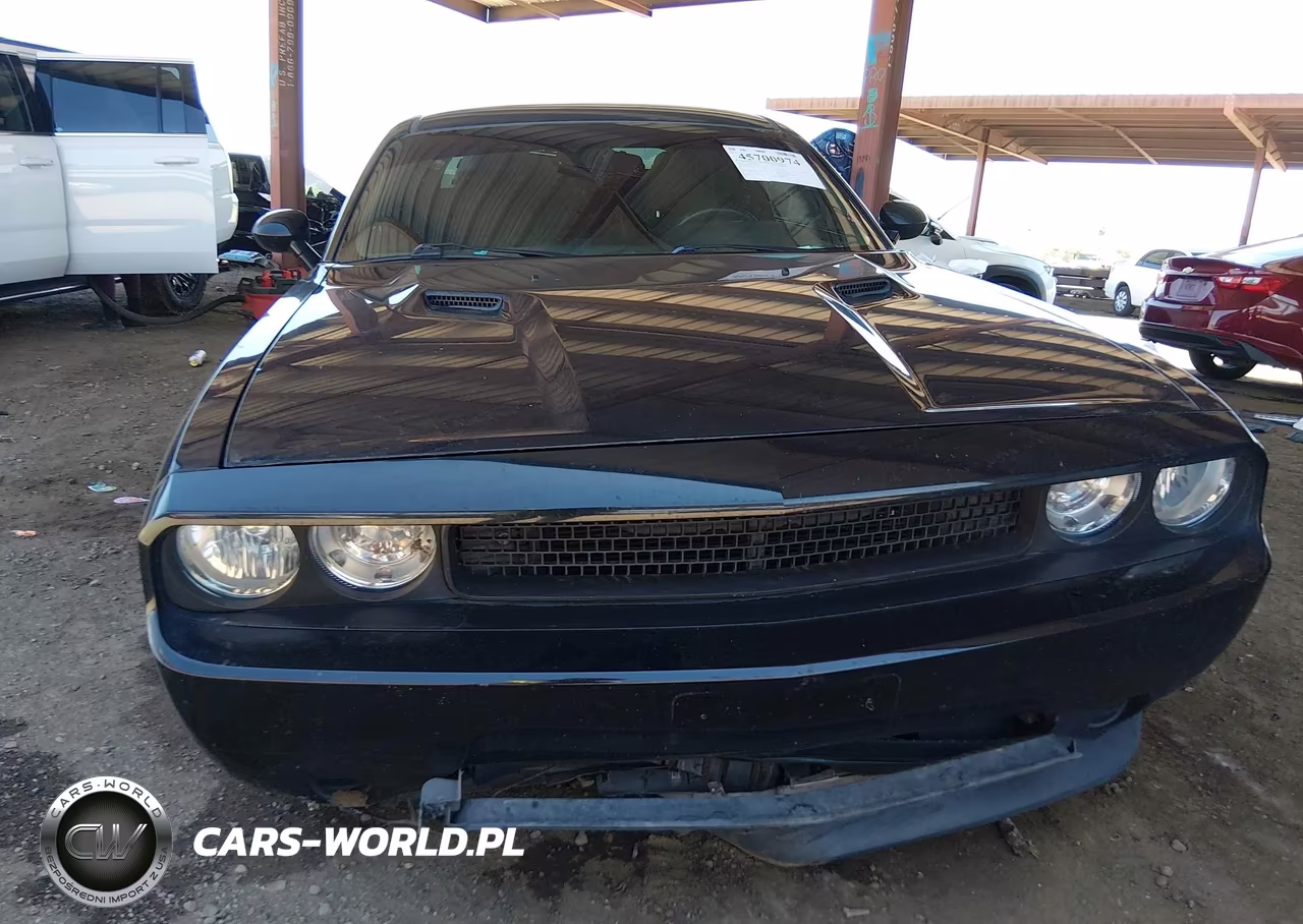 2013 Dodge Challenger Sxt VIN:2C3CDYAG3DH728705 - 6