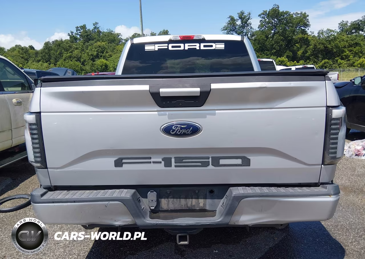2015 Ford F-150 Xlt VIN:1FTEW1CF4FKE07617 - 16