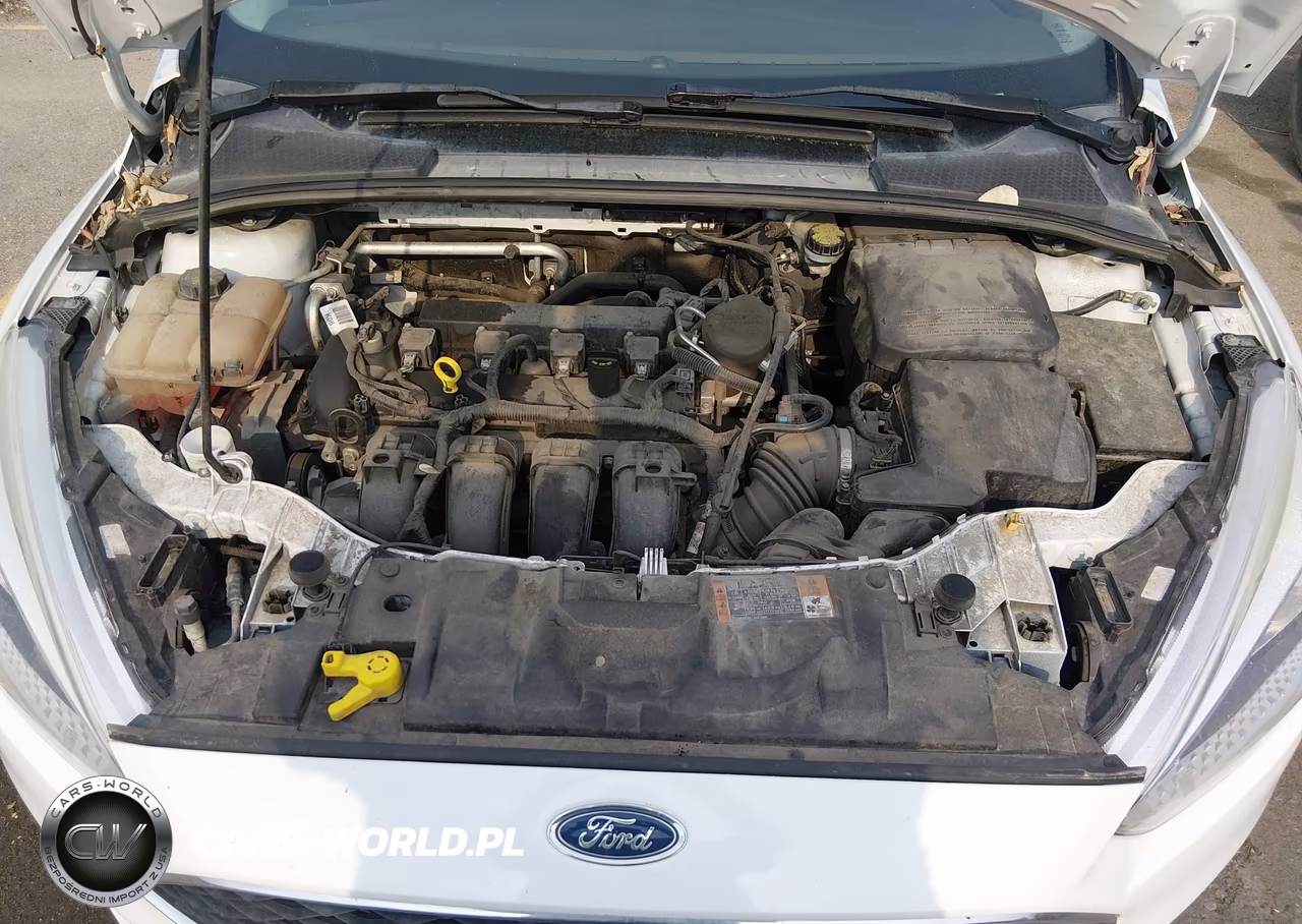 2015 Ford Focus Se VIN:1FADP3F22FL385436 - 10