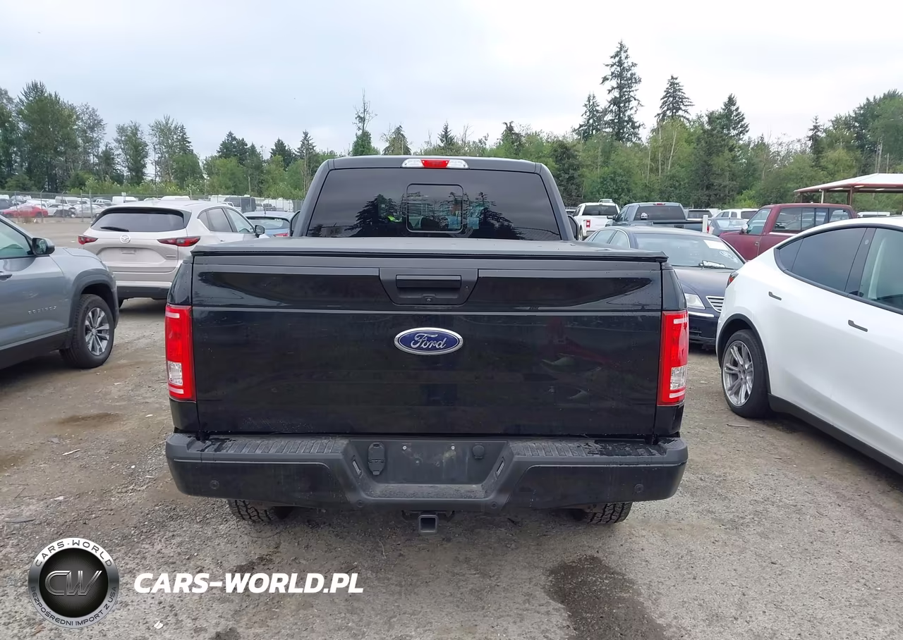 2016 Ford F-150 Xlt VIN:1FTFW1EG7GKF54672 - 16