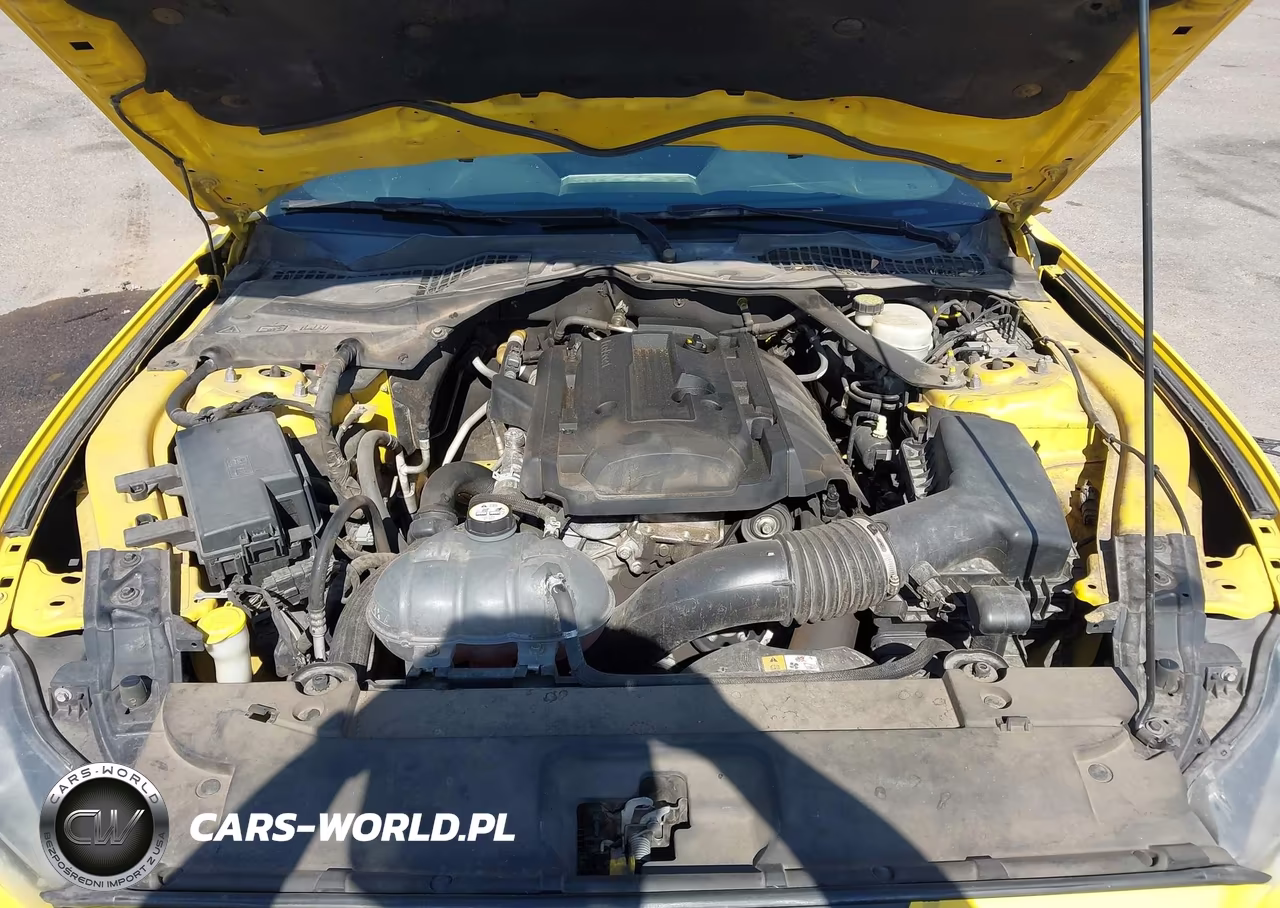 2016 Ford Mustang Ecoboost Premium VIN:1FATP8UH4G5231784 - 10