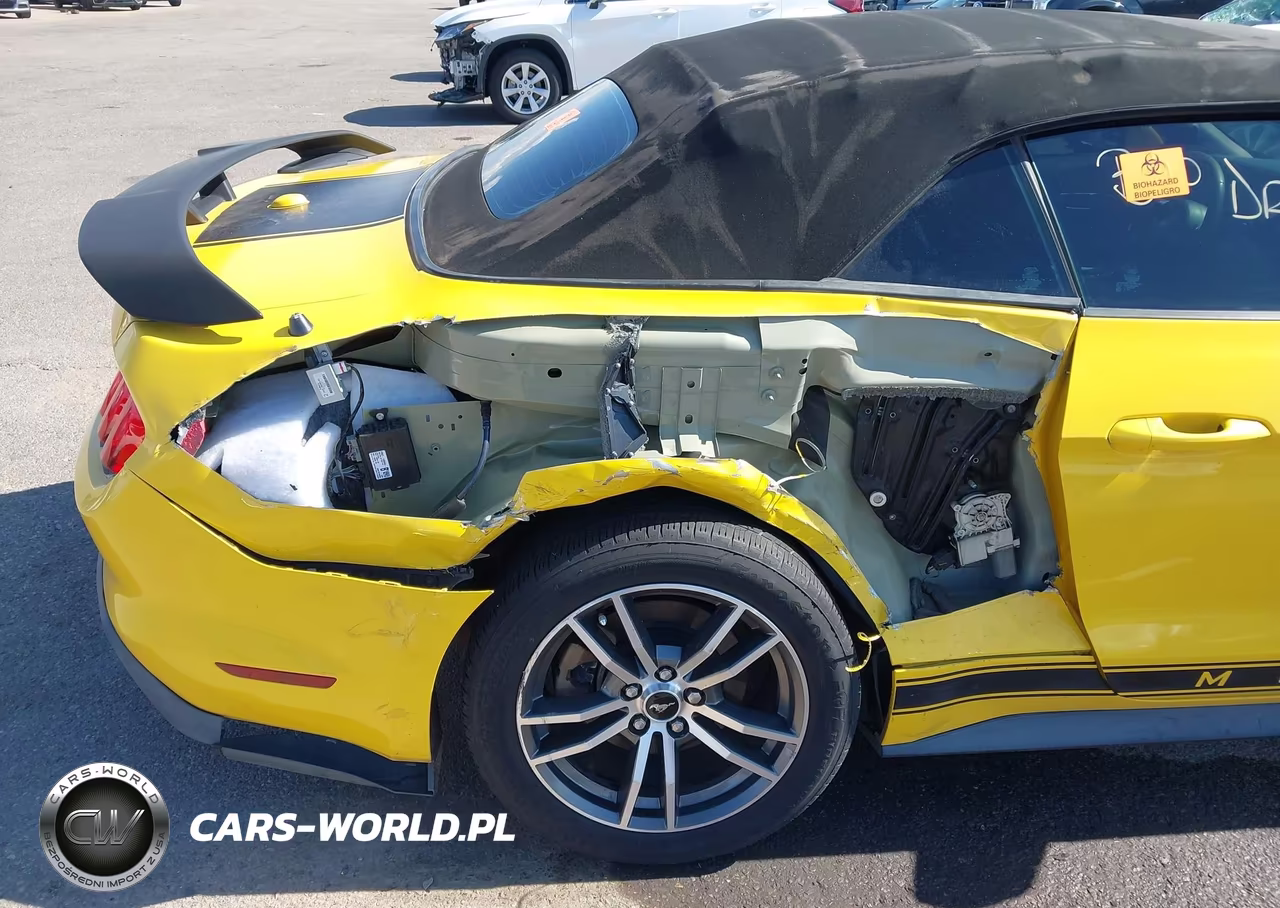 2016 Ford Mustang Ecoboost Premium VIN:1FATP8UH4G5231784 - 6