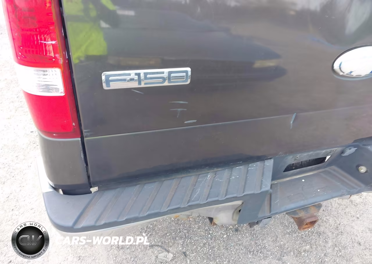2006 Ford F-150 Fx4-Lariat-Xl-Xlt VIN:1FTVX145X6NA66922 - 12