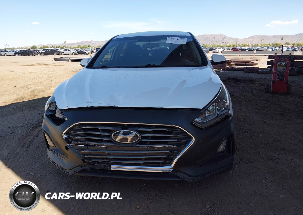 2019 Hyundai Sonata Se VIN:5NPE24AFXKH818965 - 12