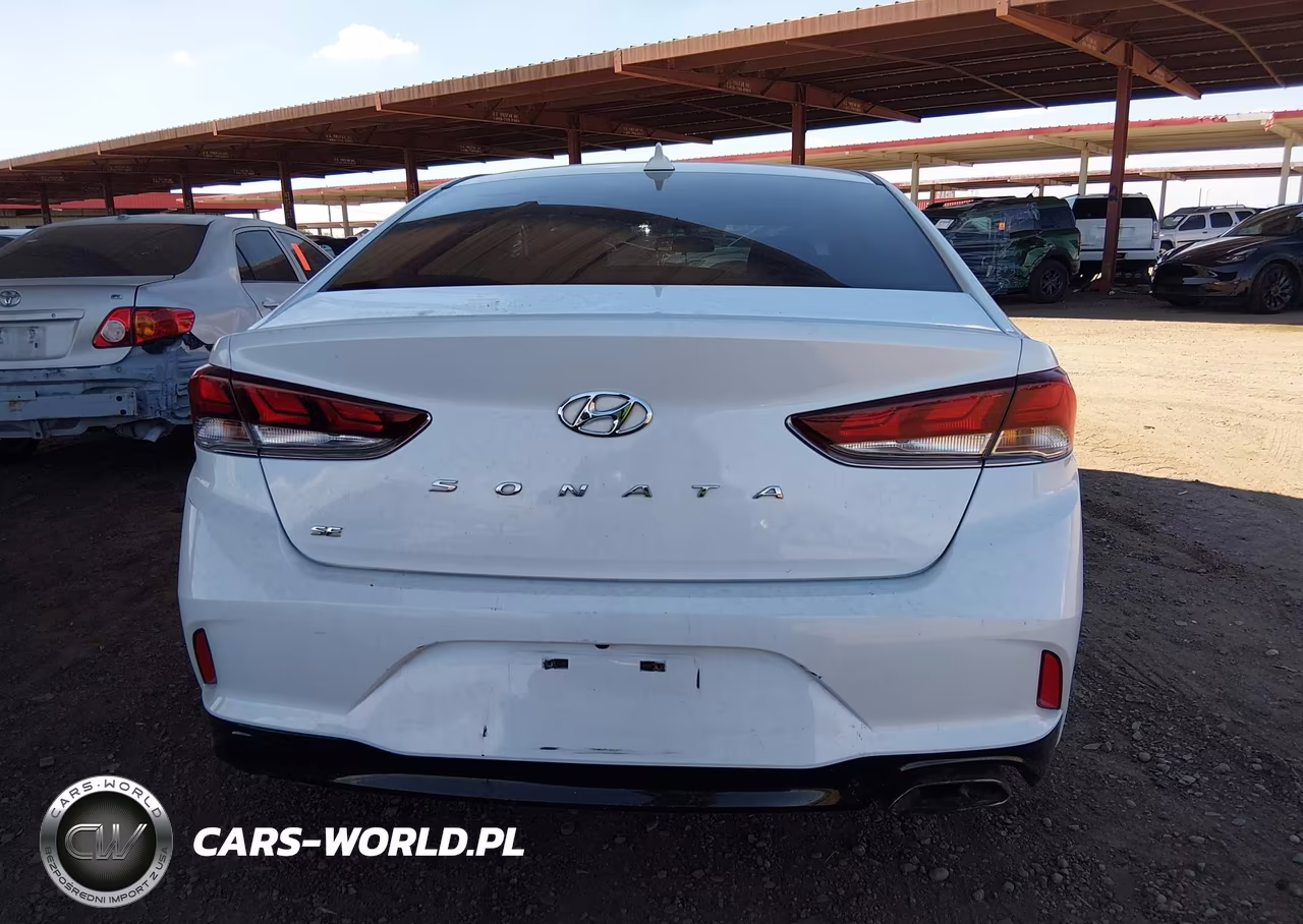 2019 Hyundai Sonata Se VIN:5NPE24AFXKH818965 - 16