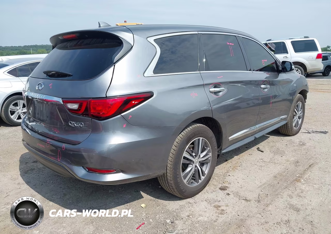 2020 Infiniti Qx60 Pure VIN:5N1DL0MN5LC532230 - 4