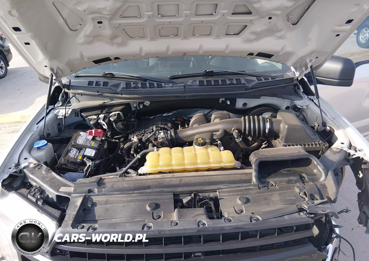 2019 Ford F-150 Xl VIN:1FTEX1CB5KKD33063 - 10