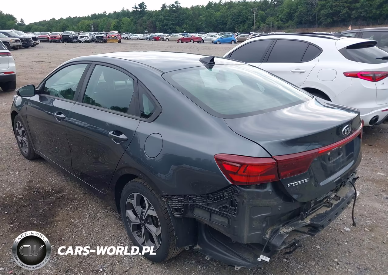 2019 Kia Forte Lxs VIN:3KPF24AD9KE080874 - 3