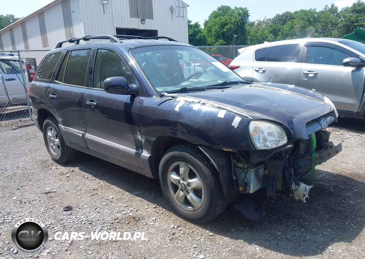 2005 Hyundai Santa Fe Gls-Lx – zdjęcie 1 z 16