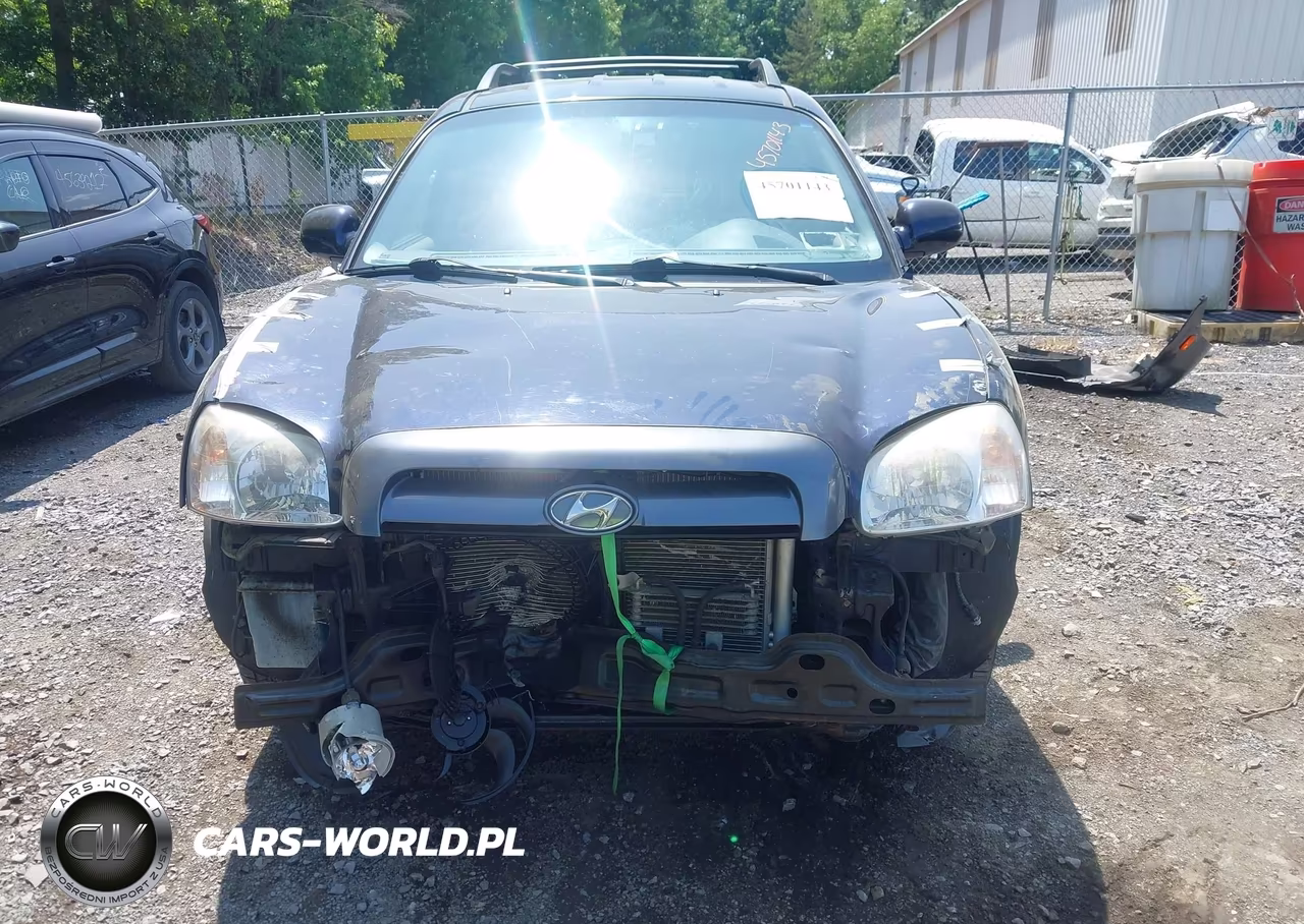 2005 Hyundai Santa Fe Gls-Lx VIN:KM8SC13E55U001959 - 12