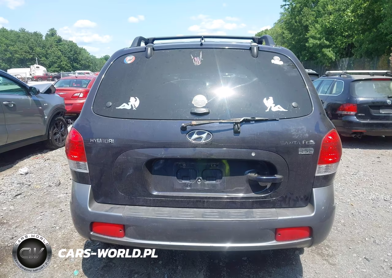 2005 Hyundai Santa Fe Gls-Lx VIN:KM8SC13E55U001959 - 16