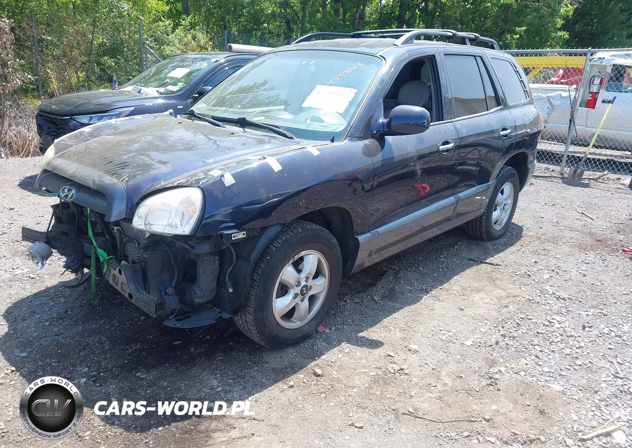 2005 Hyundai Santa Fe Gls-Lx VIN:KM8SC13E55U001959 - 2
