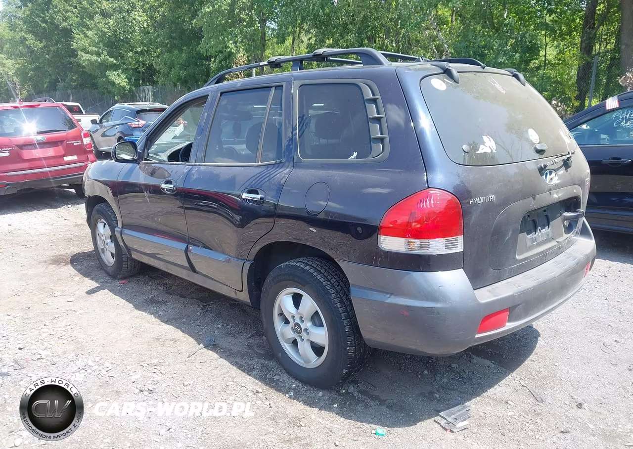 2005 Hyundai Santa Fe Gls-Lx VIN:KM8SC13E55U001959 - 3
