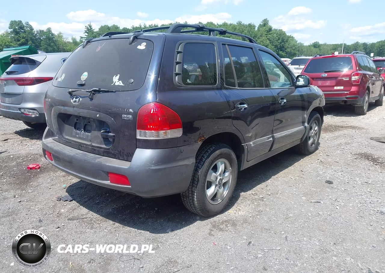 2005 Hyundai Santa Fe Gls-Lx VIN:KM8SC13E55U001959 - 4