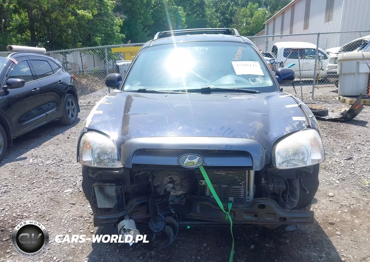 2005 Hyundai Santa Fe Gls-Lx VIN:KM8SC13E55U001959 - 6