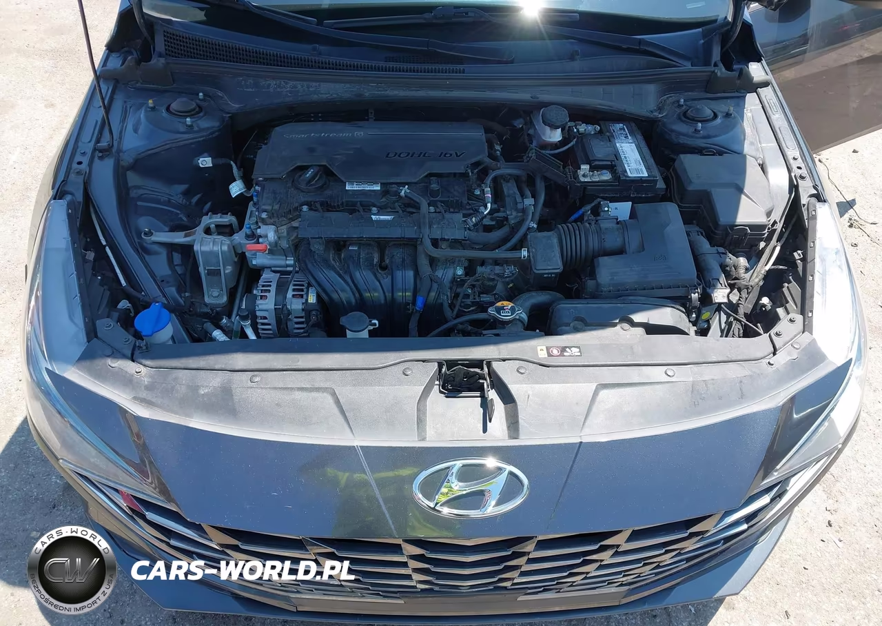 2021 Hyundai Elantra Sel VIN:5NPLN4AG3MH037666 - 10