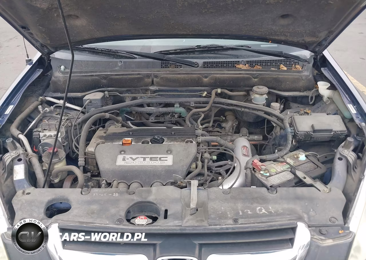 2004 Honda Cr-V Ex VIN:JHLRD778X4C049214 - 10