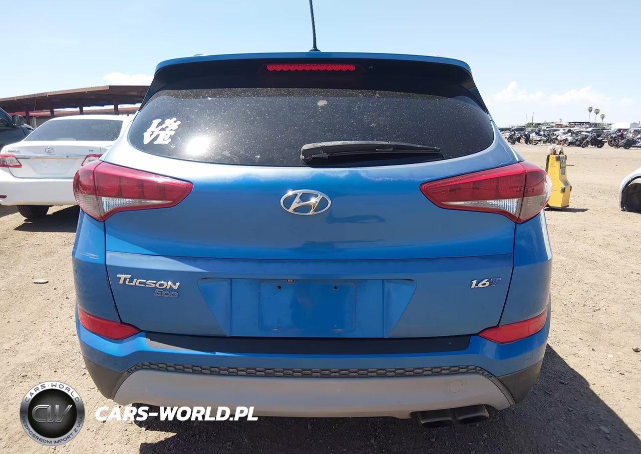 2017 Hyundai Tucson Eco VIN:KM8J33A24HU469184 - 16
