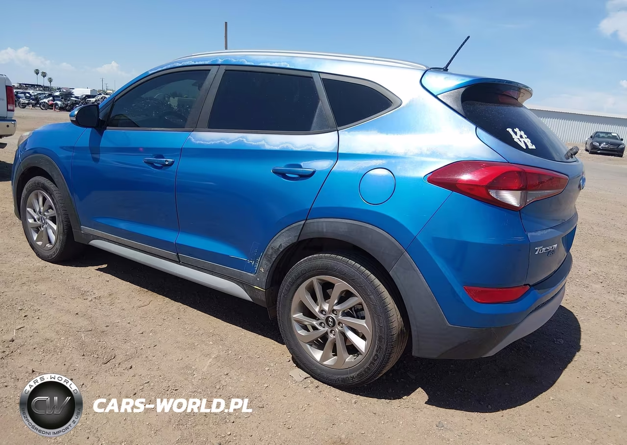 2017 Hyundai Tucson Eco VIN:KM8J33A24HU469184 - 3