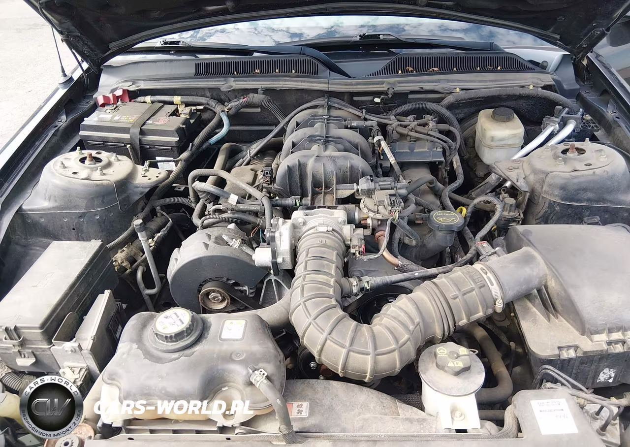 2005 Ford Mustang VIN:1ZVFT84N555199639 - 10
