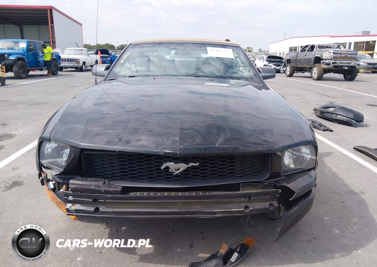 2005 Ford Mustang VIN:1ZVFT84N555199639 - 13