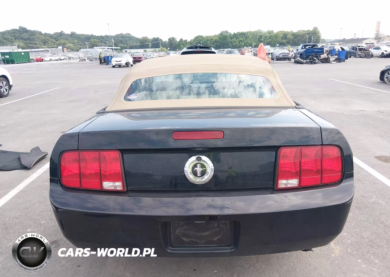 2005 Ford Mustang VIN:1ZVFT84N555199639 - 17