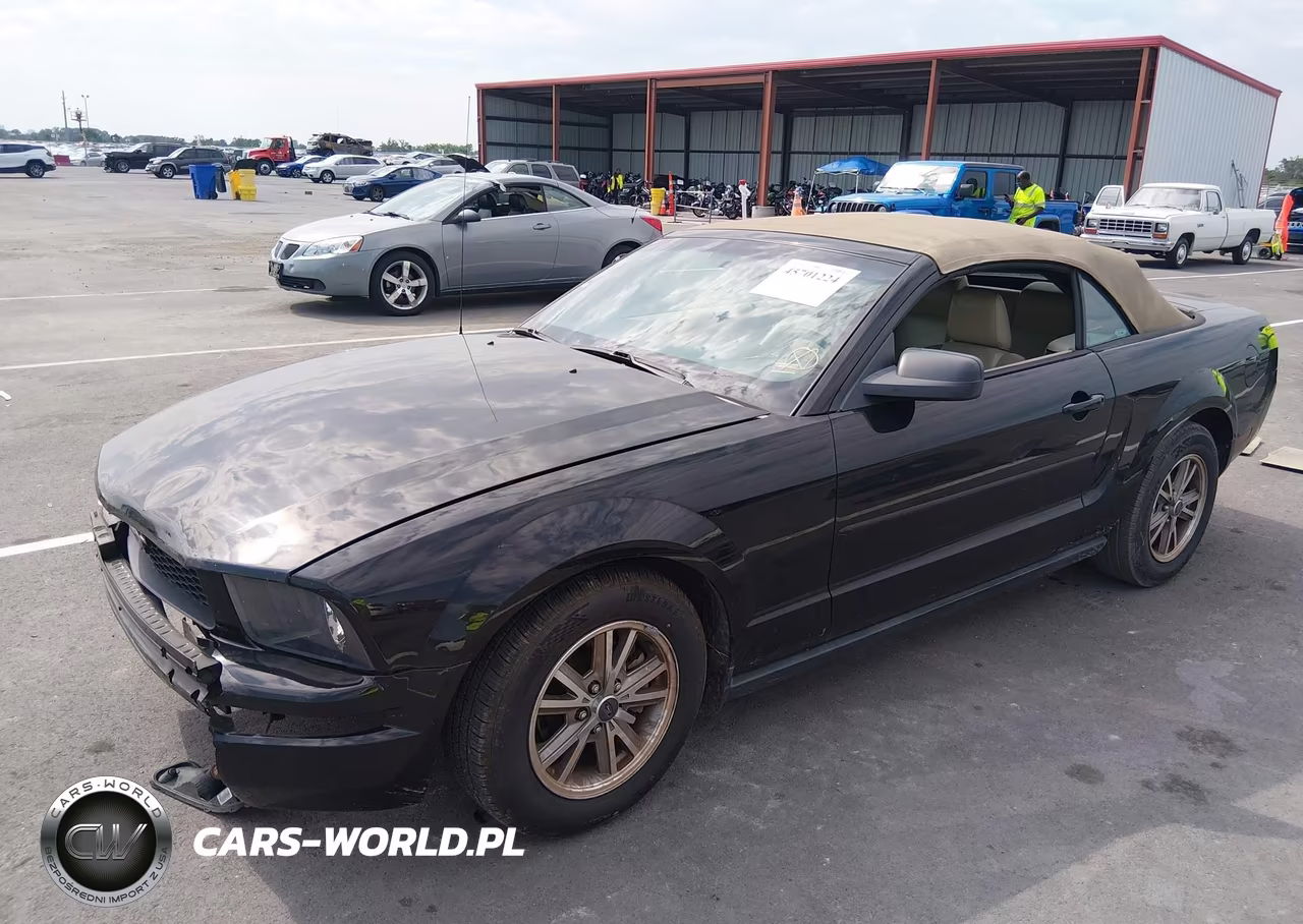 2005 Ford Mustang VIN:1ZVFT84N555199639 - 2