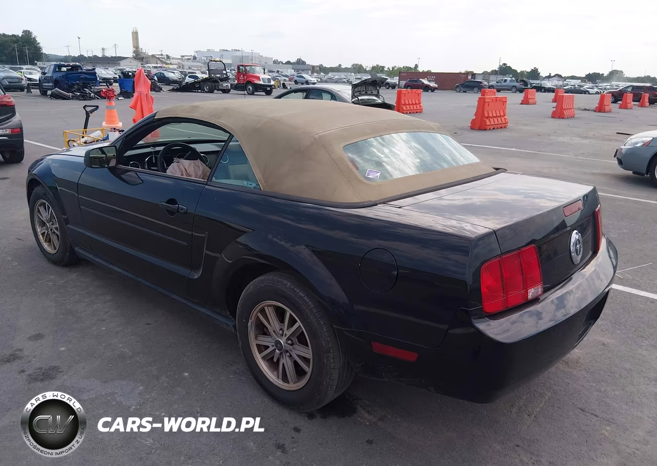 2005 Ford Mustang VIN:1ZVFT84N555199639 - 3