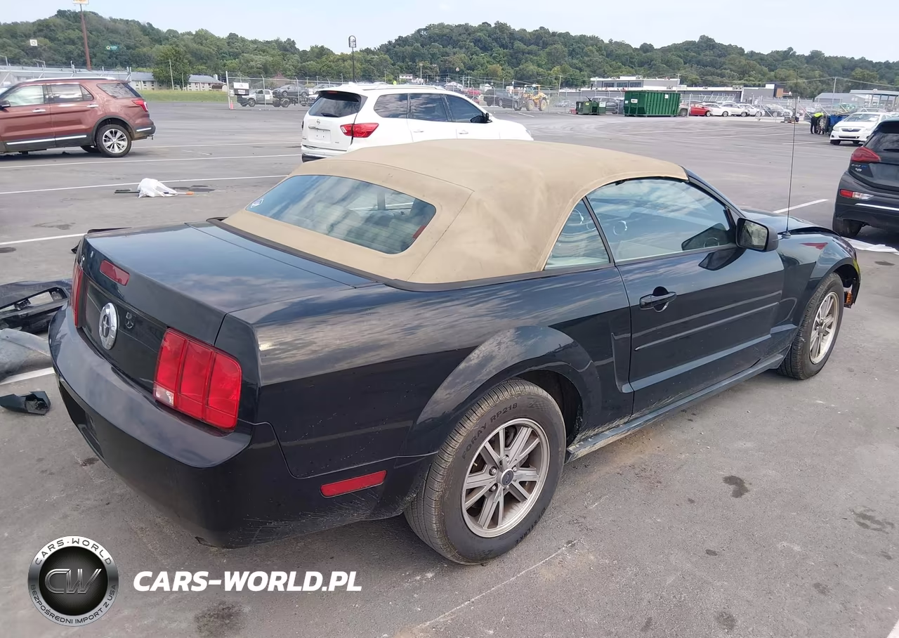 2005 Ford Mustang VIN:1ZVFT84N555199639 - 4