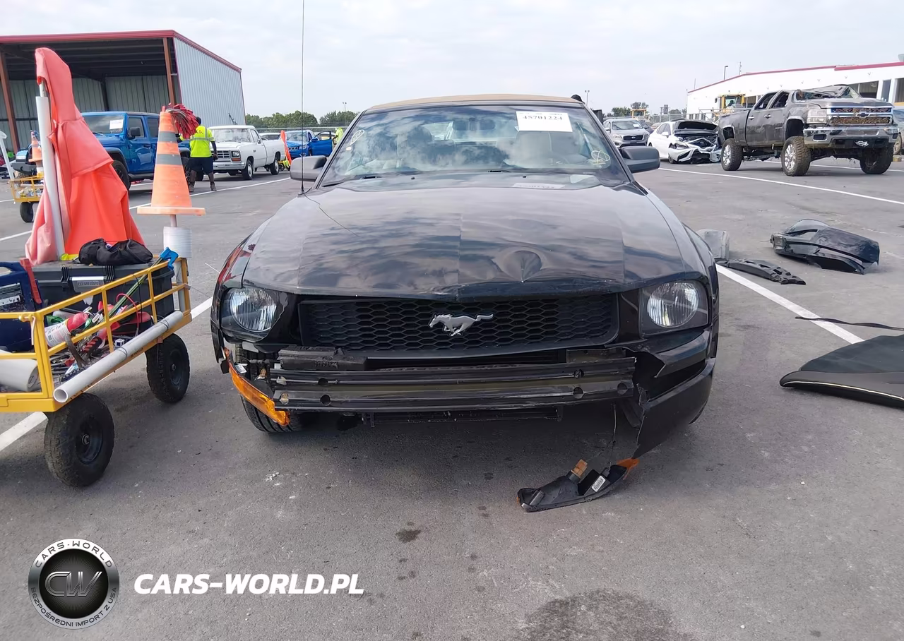 2005 Ford Mustang VIN:1ZVFT84N555199639 - 6