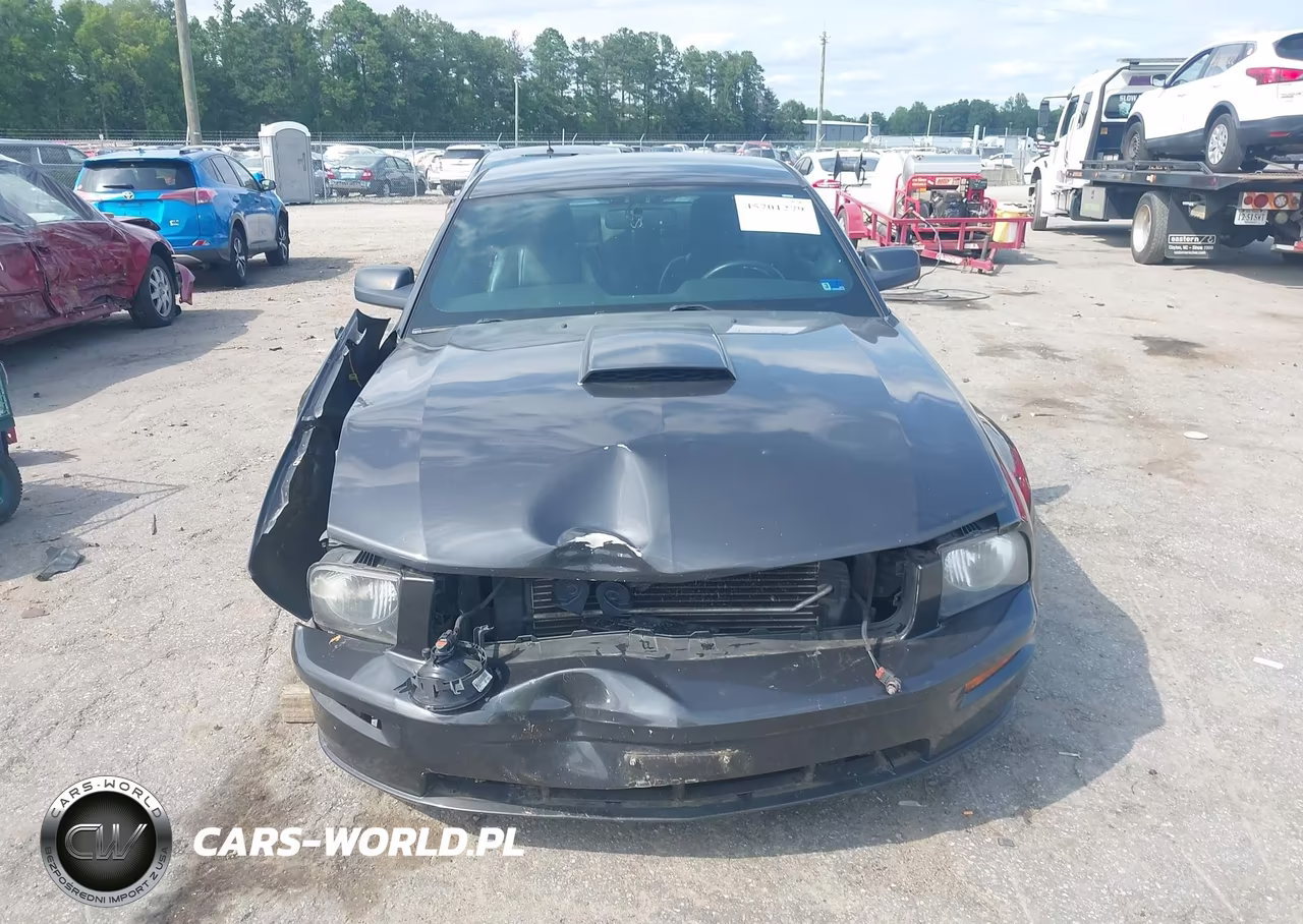 2007 Ford Mustang Gt Deluxe-Gt Premium VIN:1ZVHT82H675340601 - 13