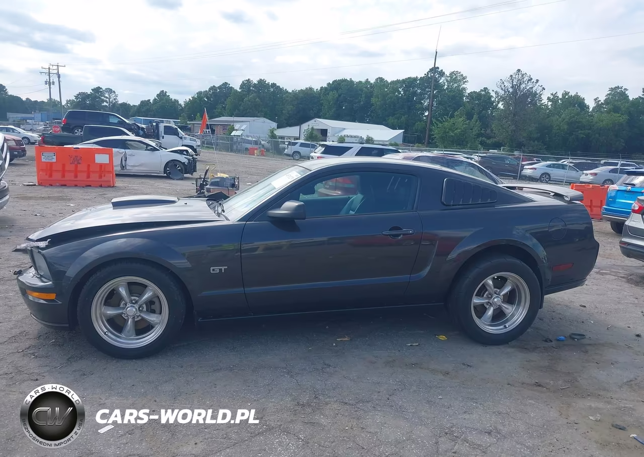 2007 Ford Mustang Gt Deluxe-Gt Premium VIN:1ZVHT82H675340601 - 15