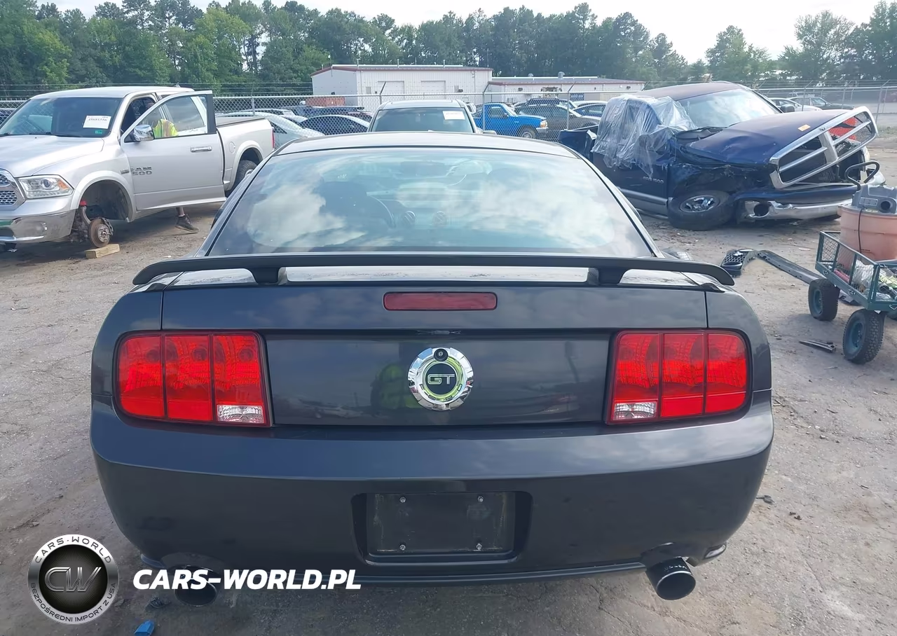 2007 Ford Mustang Gt Deluxe-Gt Premium VIN:1ZVHT82H675340601 - 17