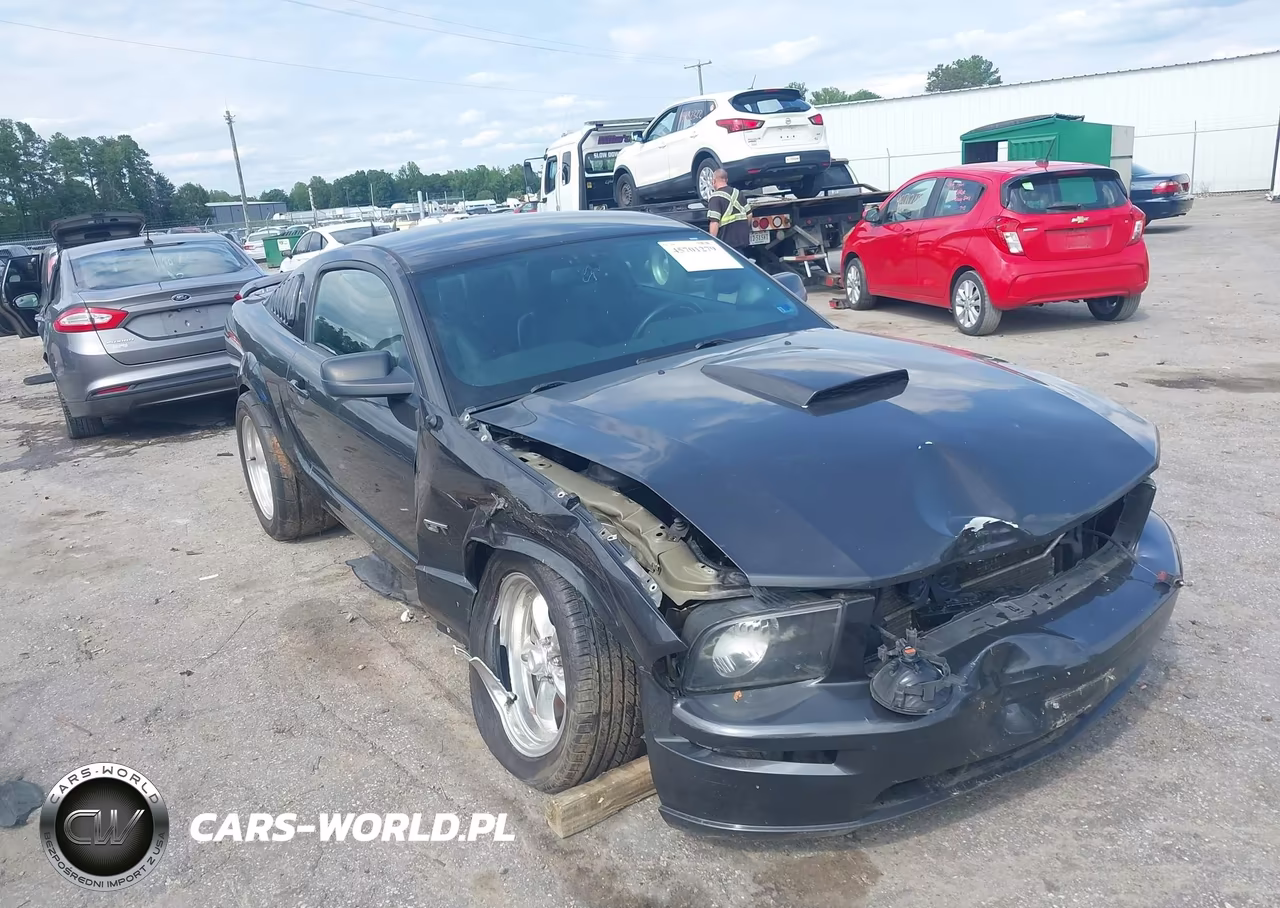 2007 Ford Mustang Gt Deluxe-Gt Premium VIN:1ZVHT82H675340601 - 6